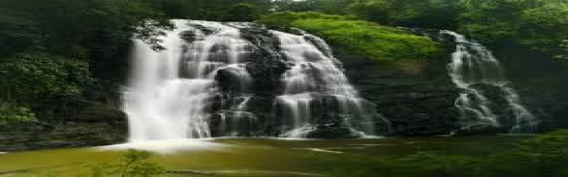 coorg