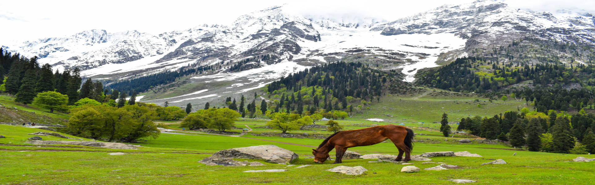 jammu and kashmir